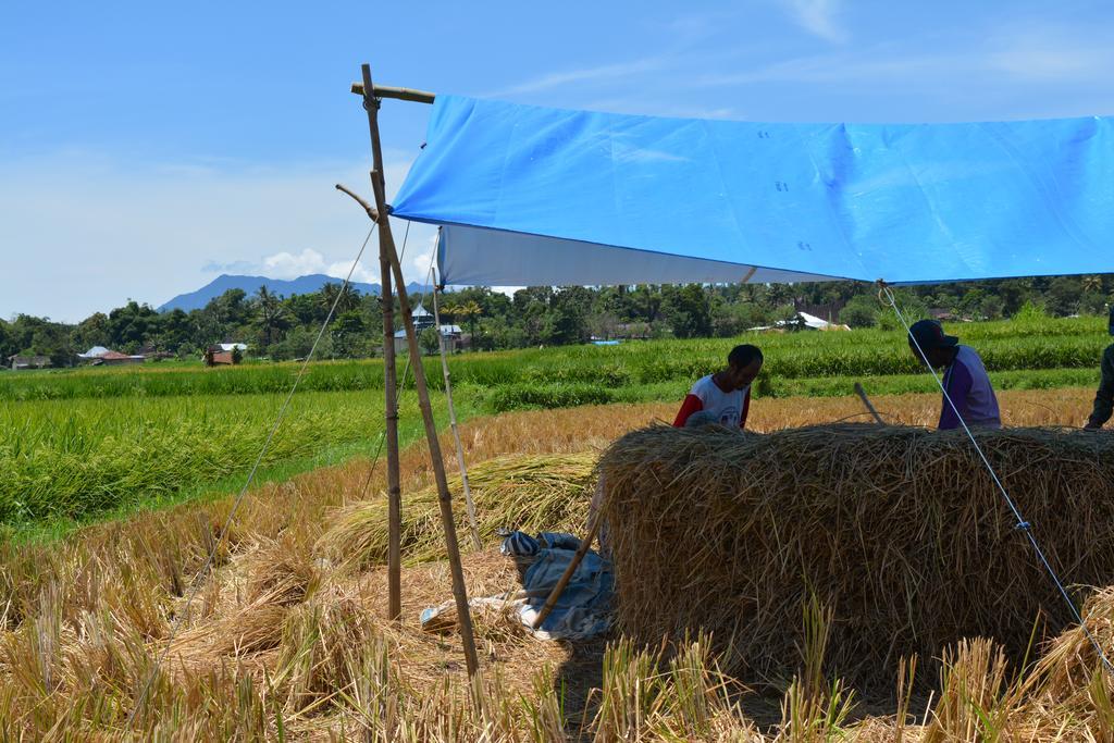 Koto Hilalang Homestay Bukittinggi Dış mekan fotoğraf