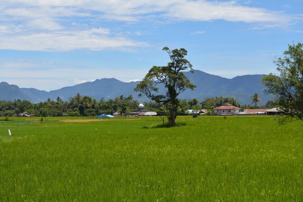 Koto Hilalang Homestay Bukittinggi Dış mekan fotoğraf