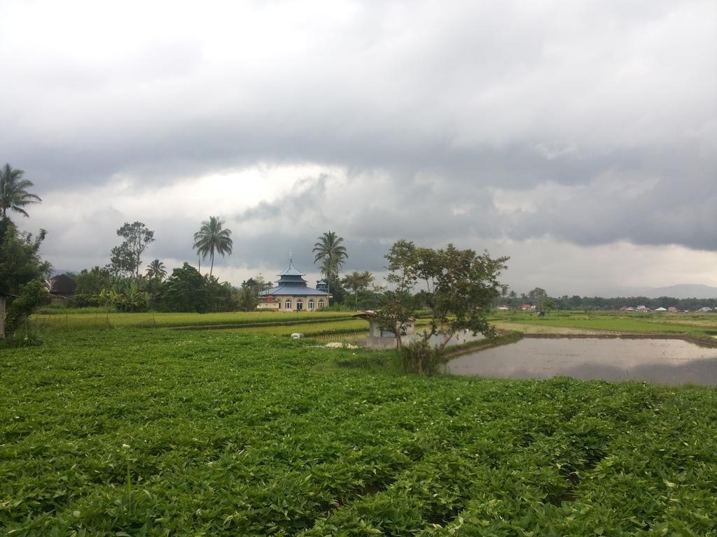 Koto Hilalang Homestay Bukittinggi Oda fotoğraf