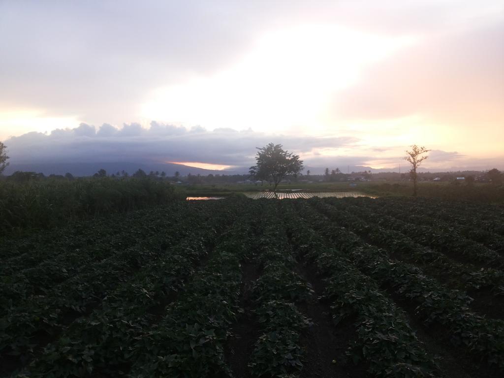 Koto Hilalang Homestay Bukittinggi Oda fotoğraf